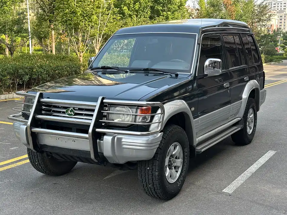 Leopaard Cheetah 6481