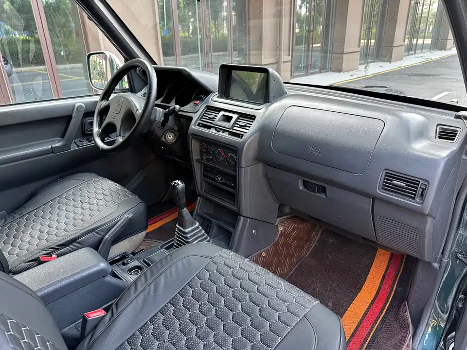 Leopaard Cheetah 6481