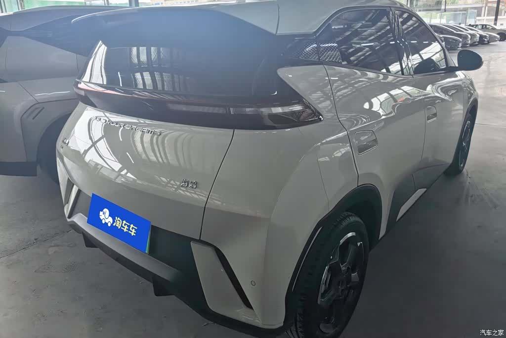 BYD Seagull, 2024 3