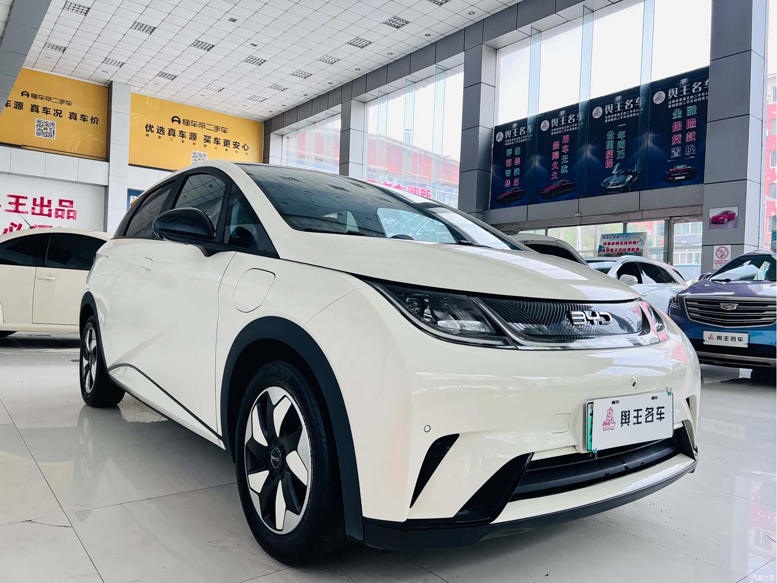 BYD Dolphin, 2024 все фото