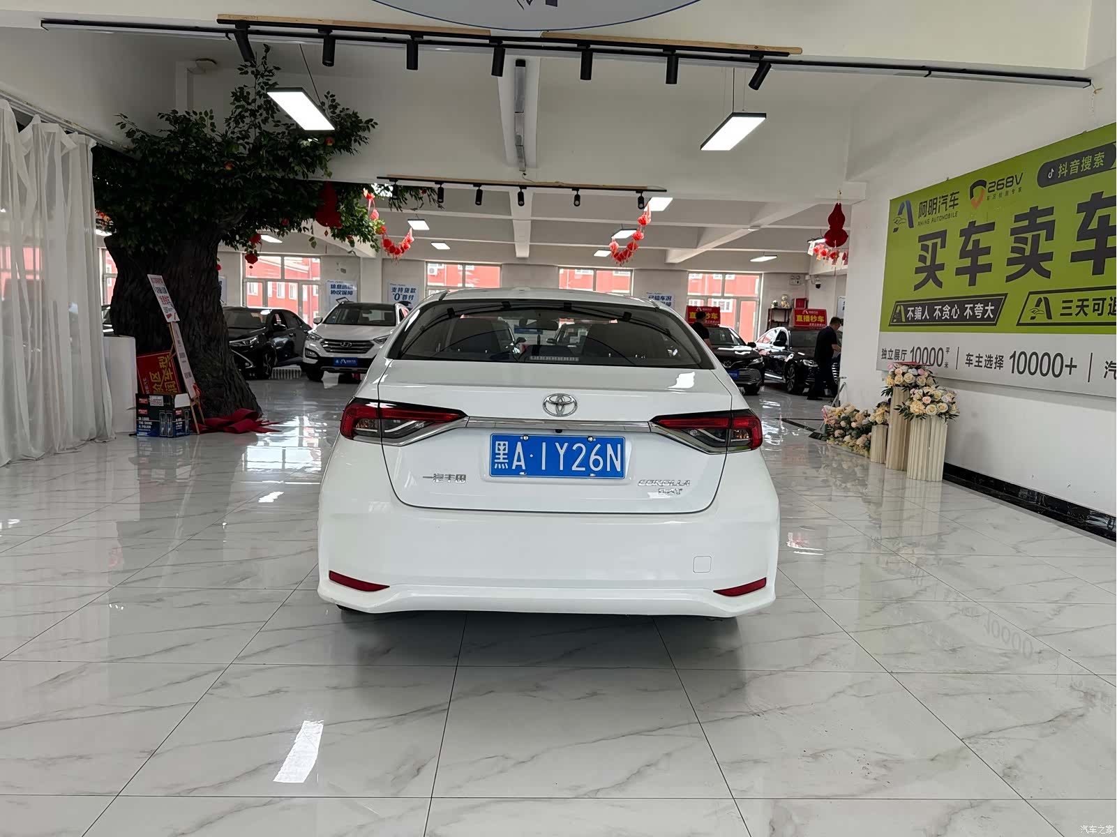 Toyota Corolla, 2023 все фото