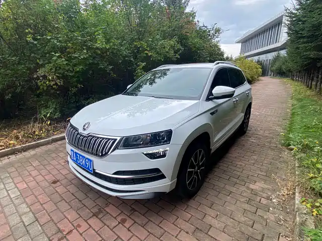 Škoda Karoq 2024 — купить из Китая под заказ