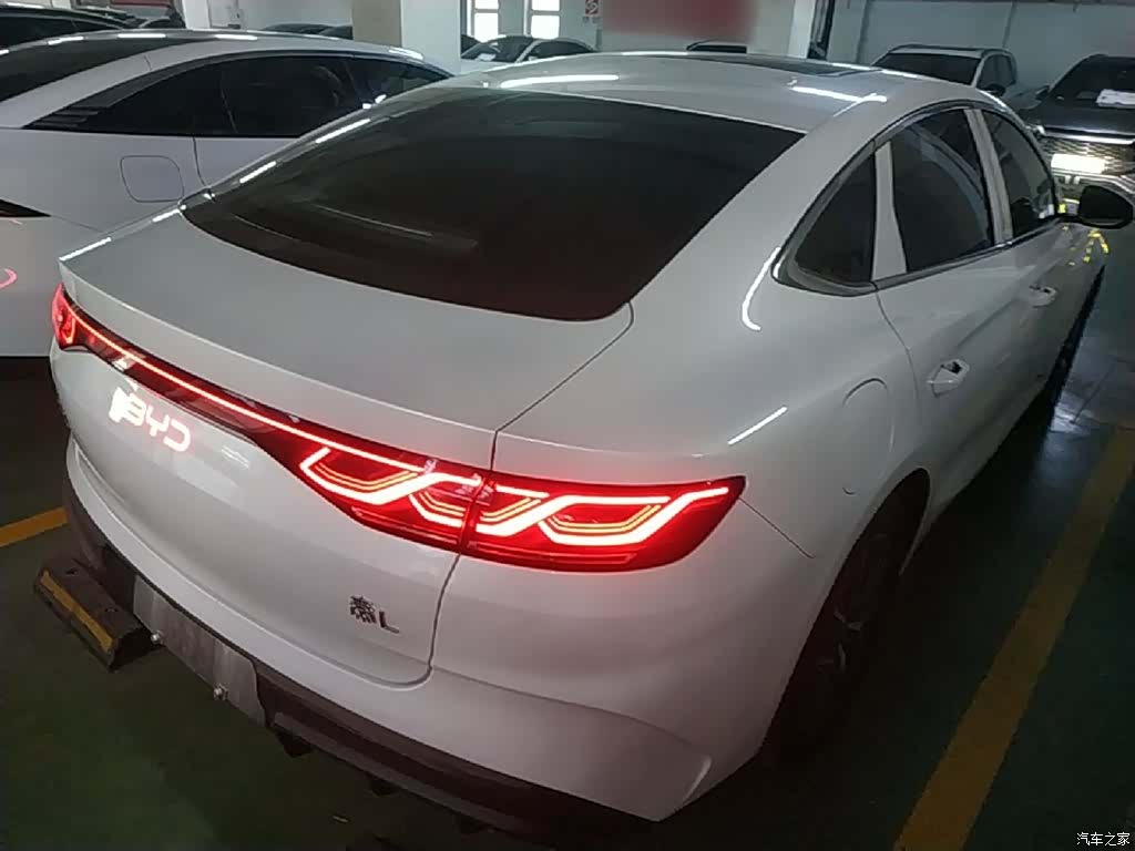 BYD Qin, 2025 все фото