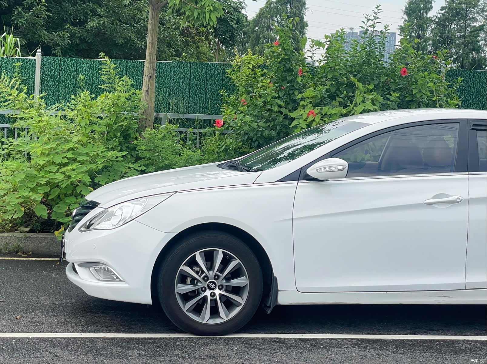 Hyundai Sonata, 2014 все фото