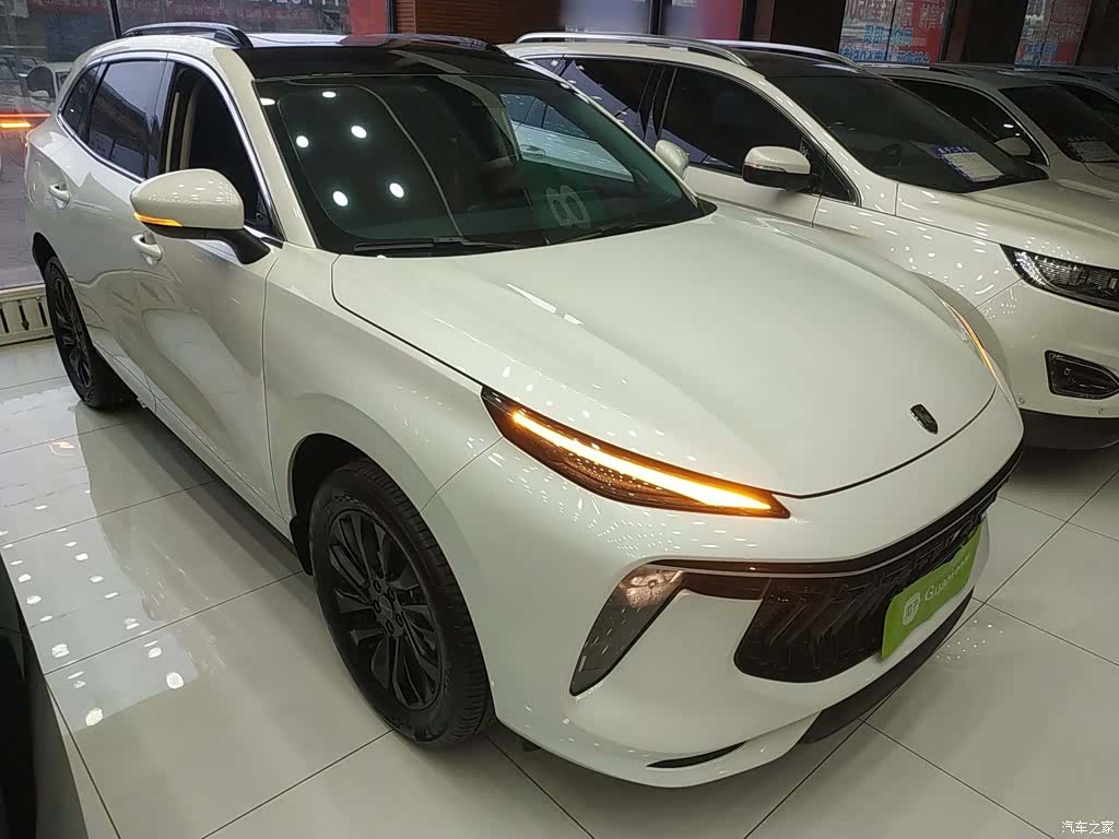 DongFeng T5, 2024 22