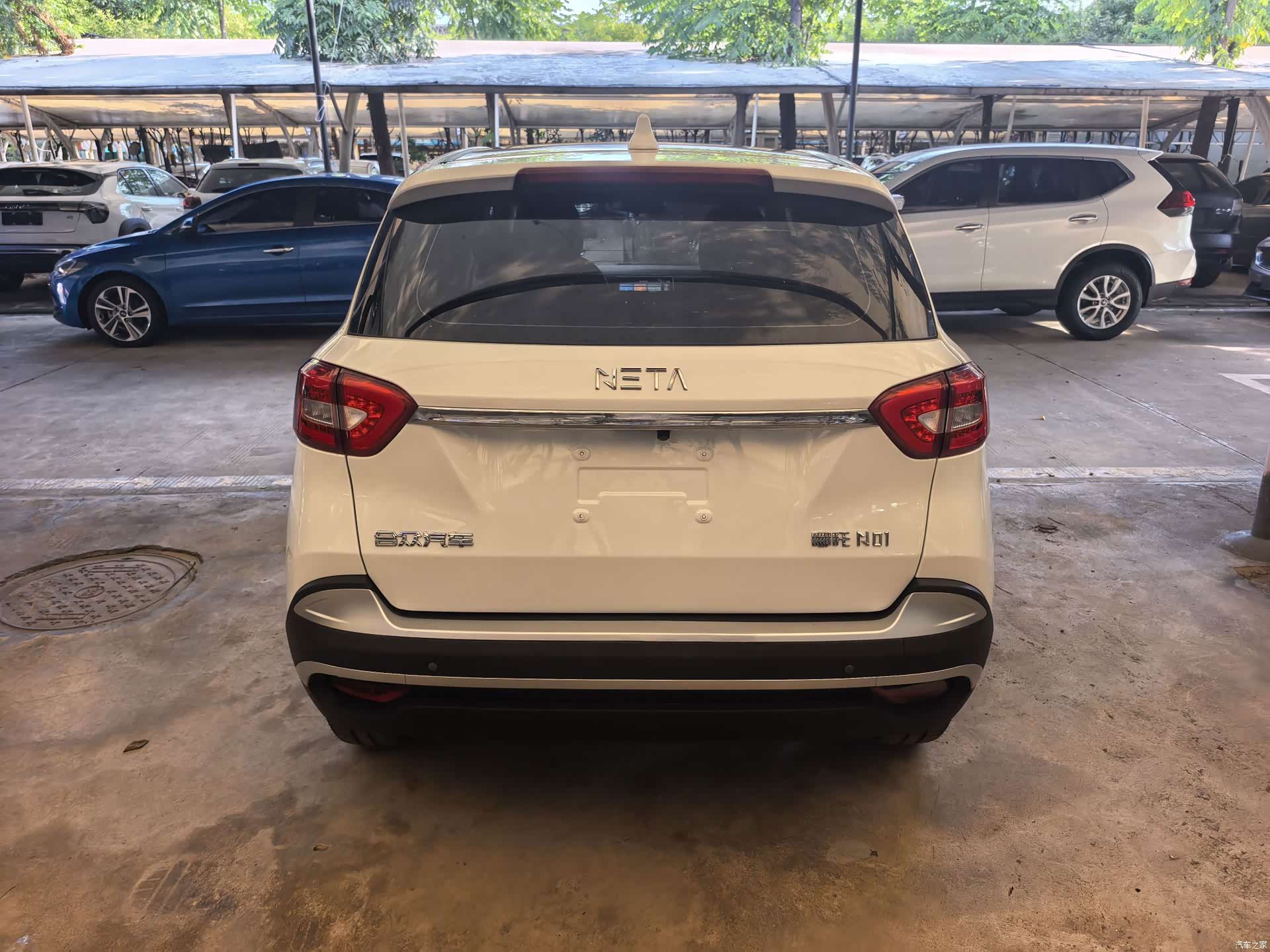 Neta V, 2019 13