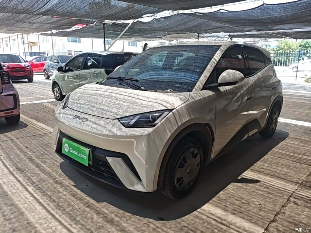BYD Seagull, 2024 1