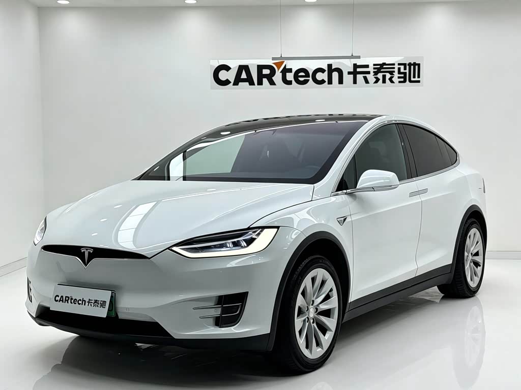 Tesla Model X 2019 Performance