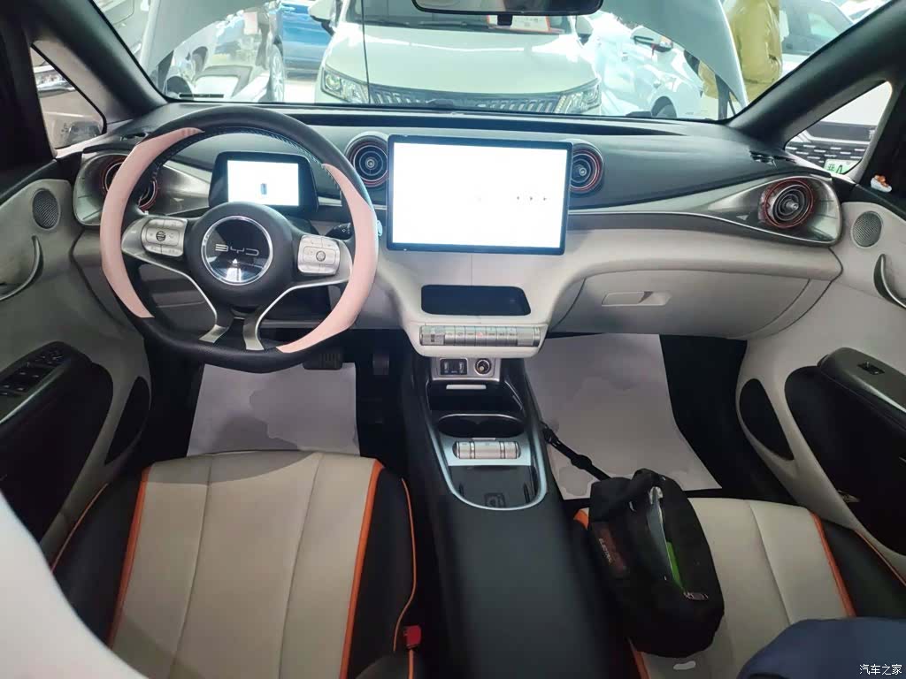 BYD Dolphin, 2022 6