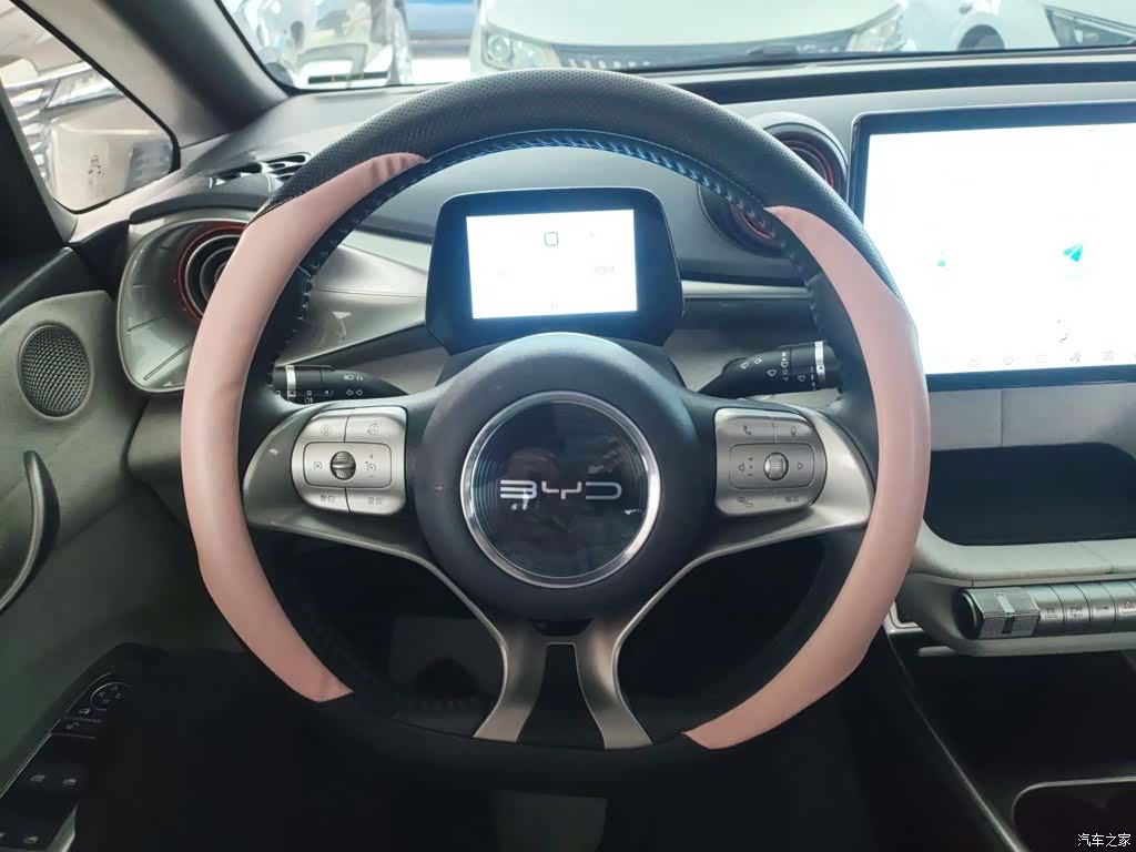 BYD Dolphin, 2022 7