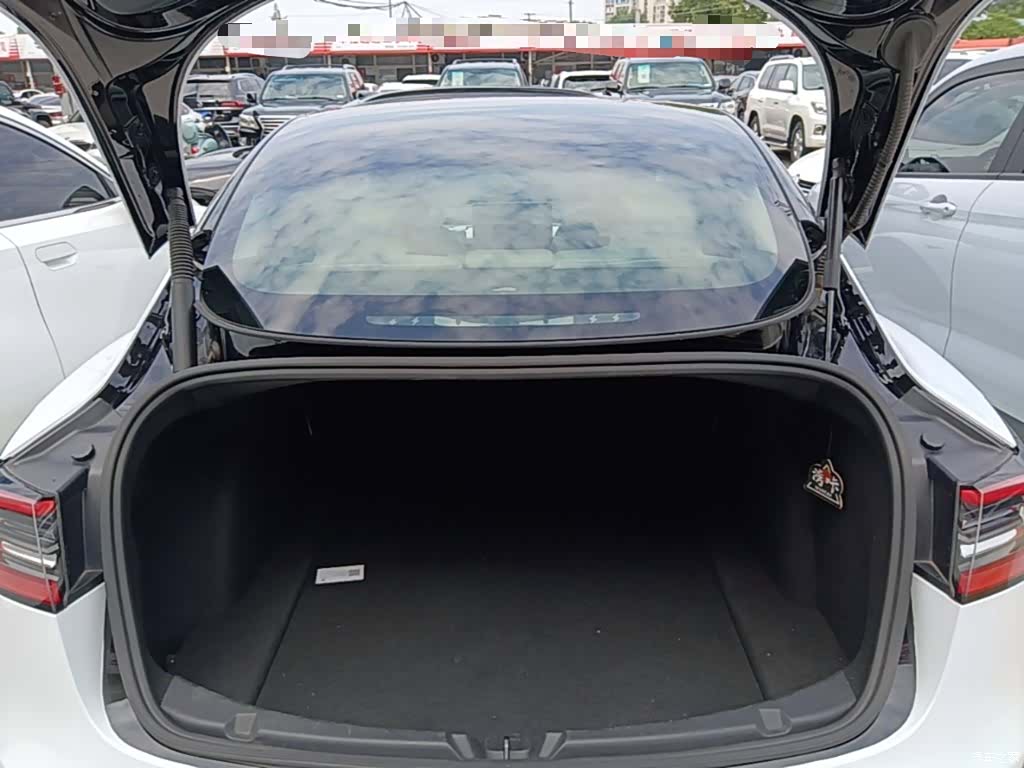 Tesla Model 3, 2021 19