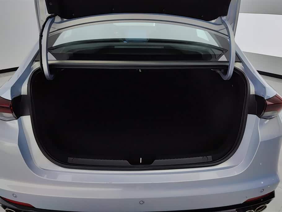 Trumpchi Shadow Leopard