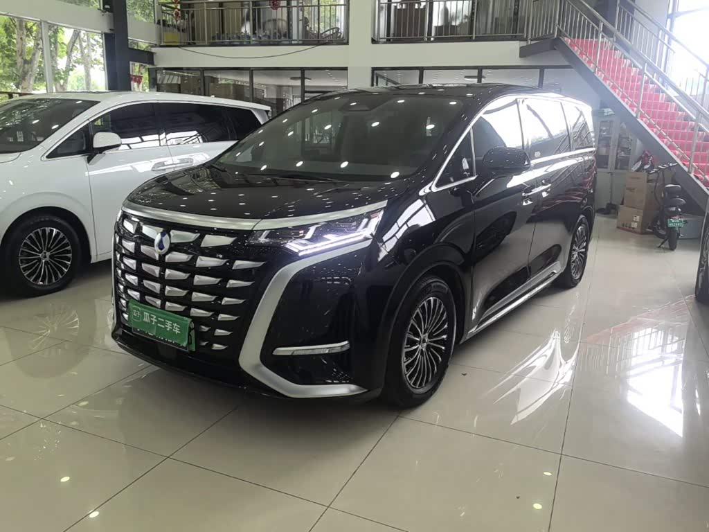 Denza D9