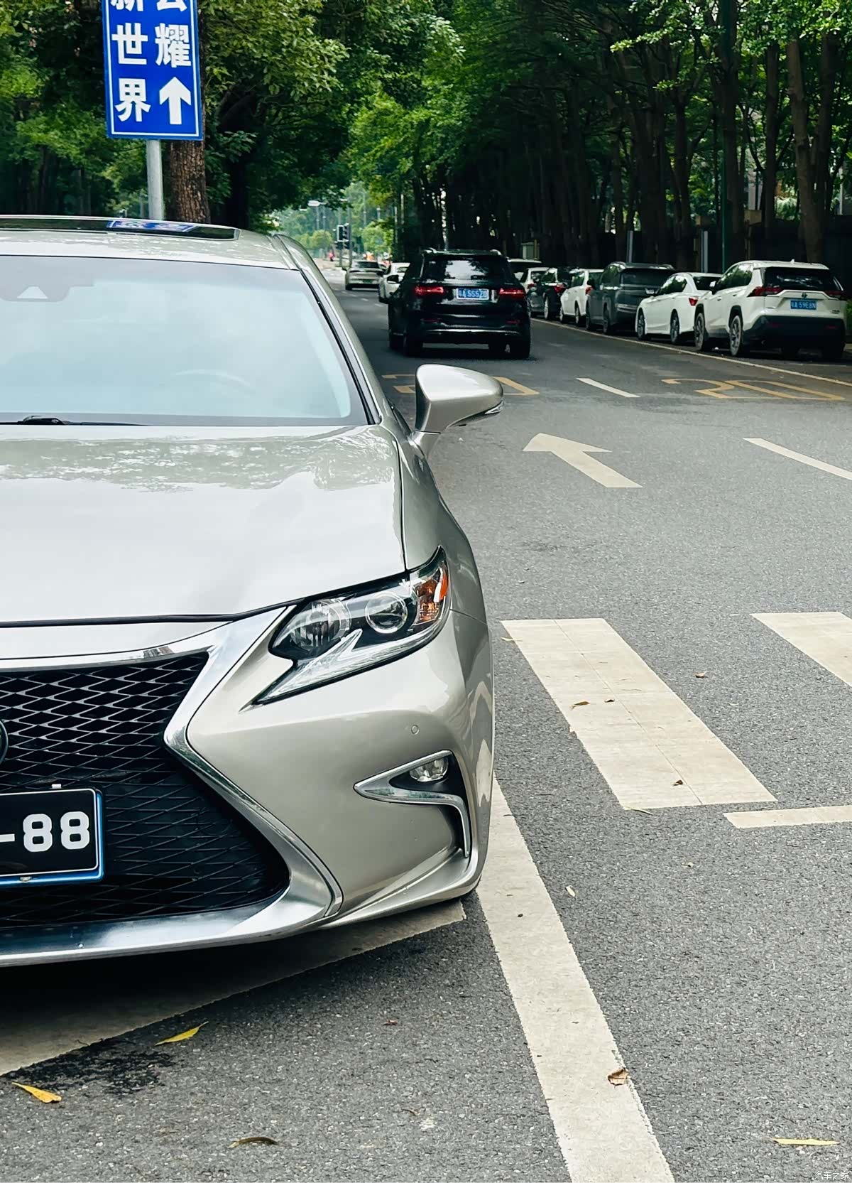 Lexus ES, 2018 13