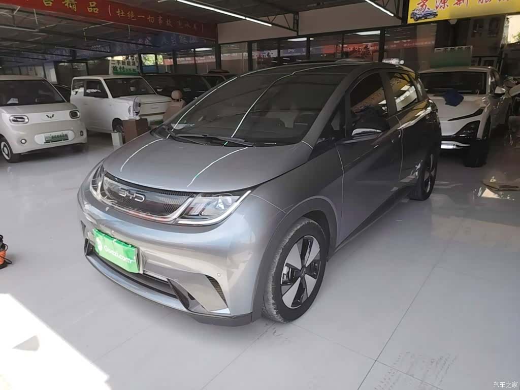 BYD Dolphin, 2023 1