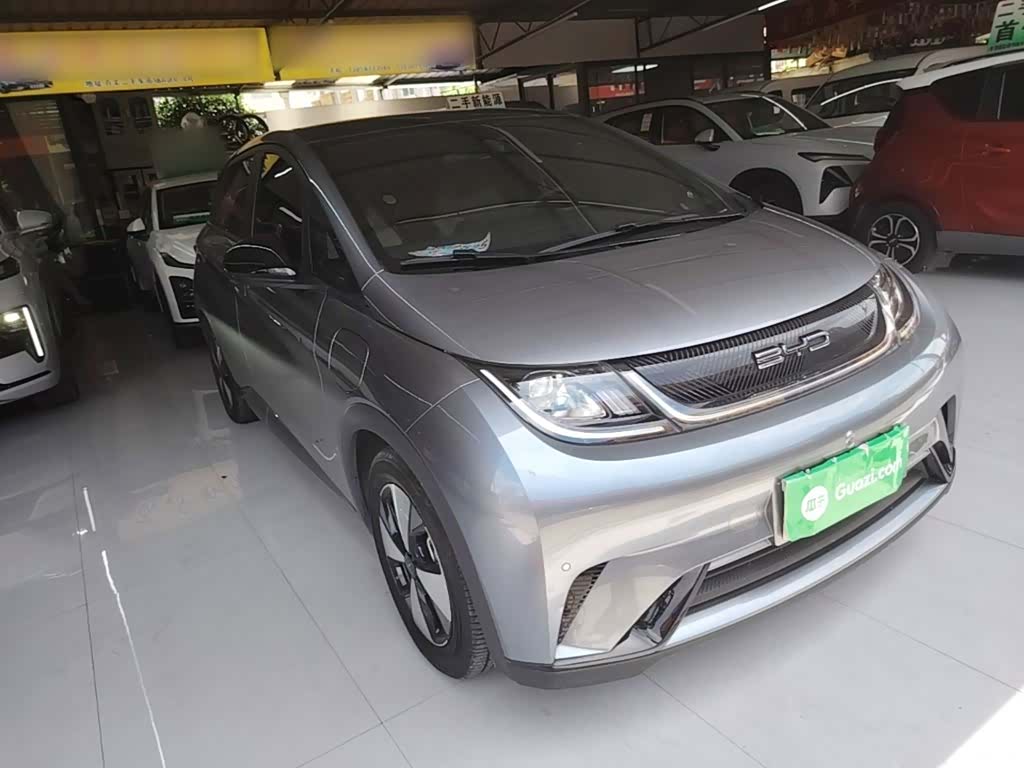 BYD Dolphin, 2023 4