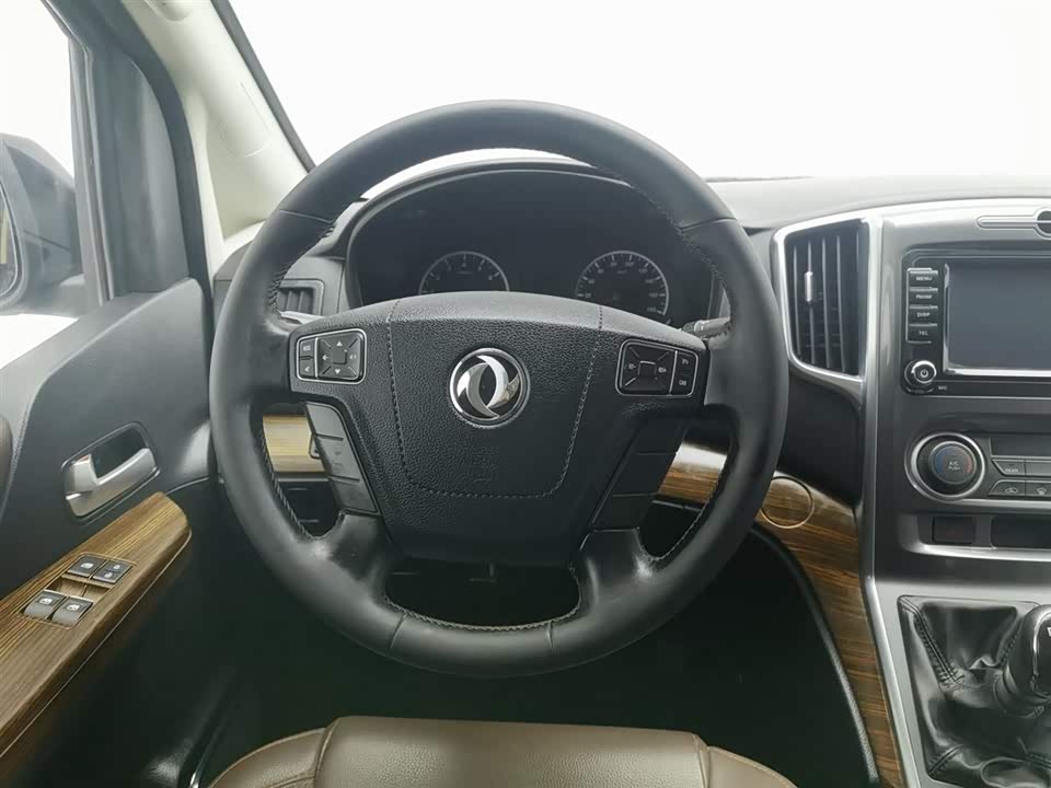 Forthing Lingzhi PLUS