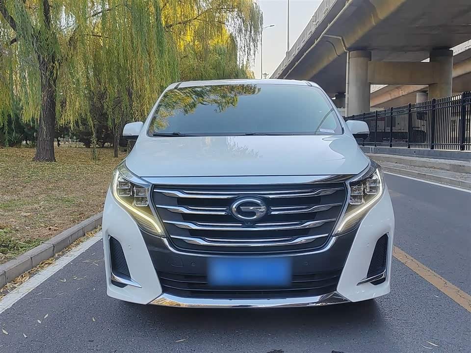 Trumpchi Trumpchi M8