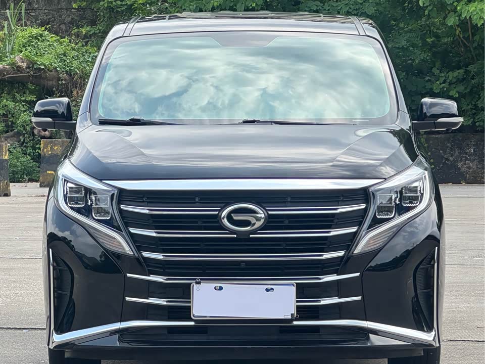 Trumpchi Trumpchi M8