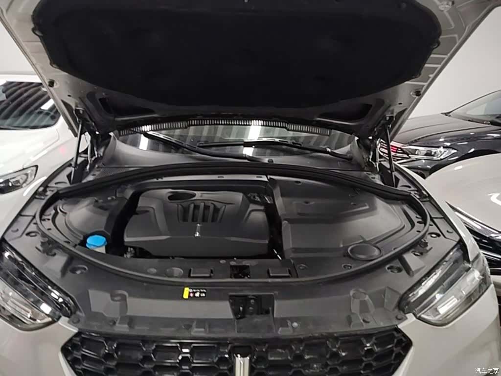 WEY VV7, 2019 10