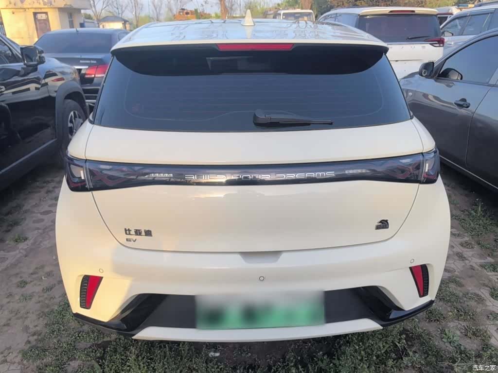 BYD Dolphin, 2023 6