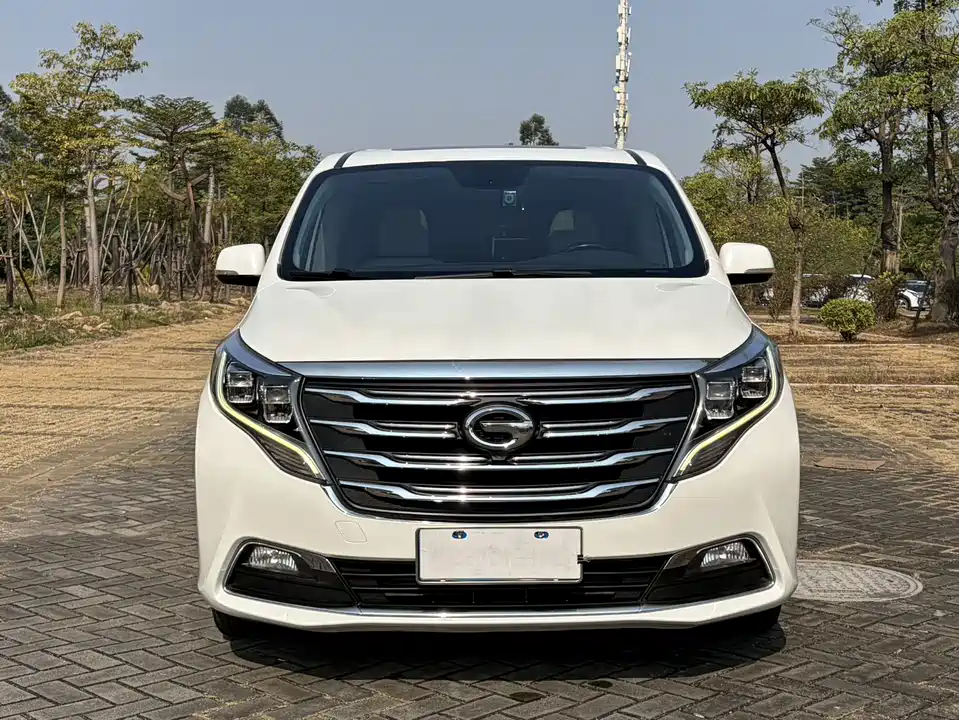 Trumpchi Trumpchi M8