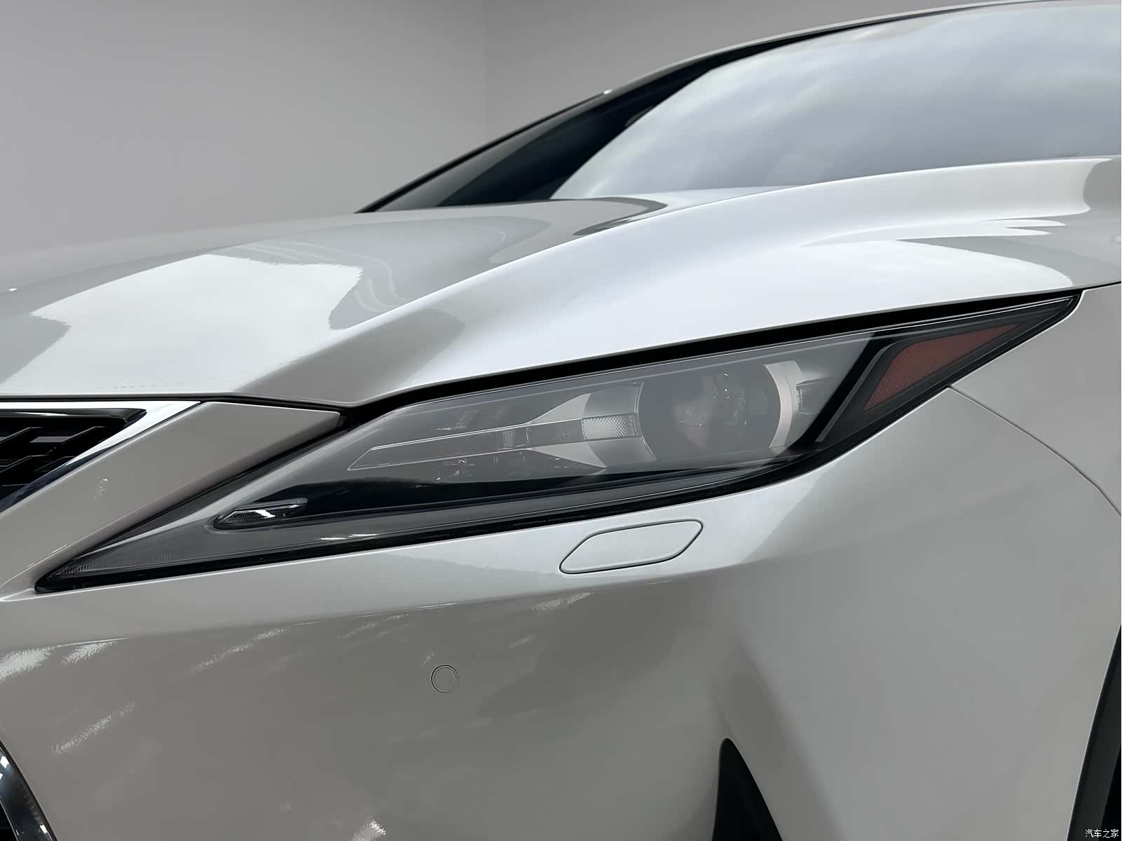 Lexus RX, 2019 все фото
