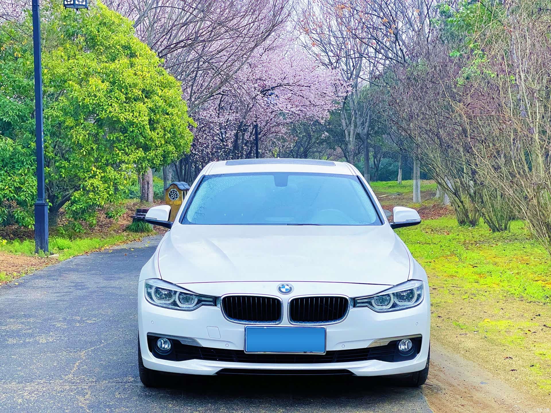 BMW 3 Series, 2017 2