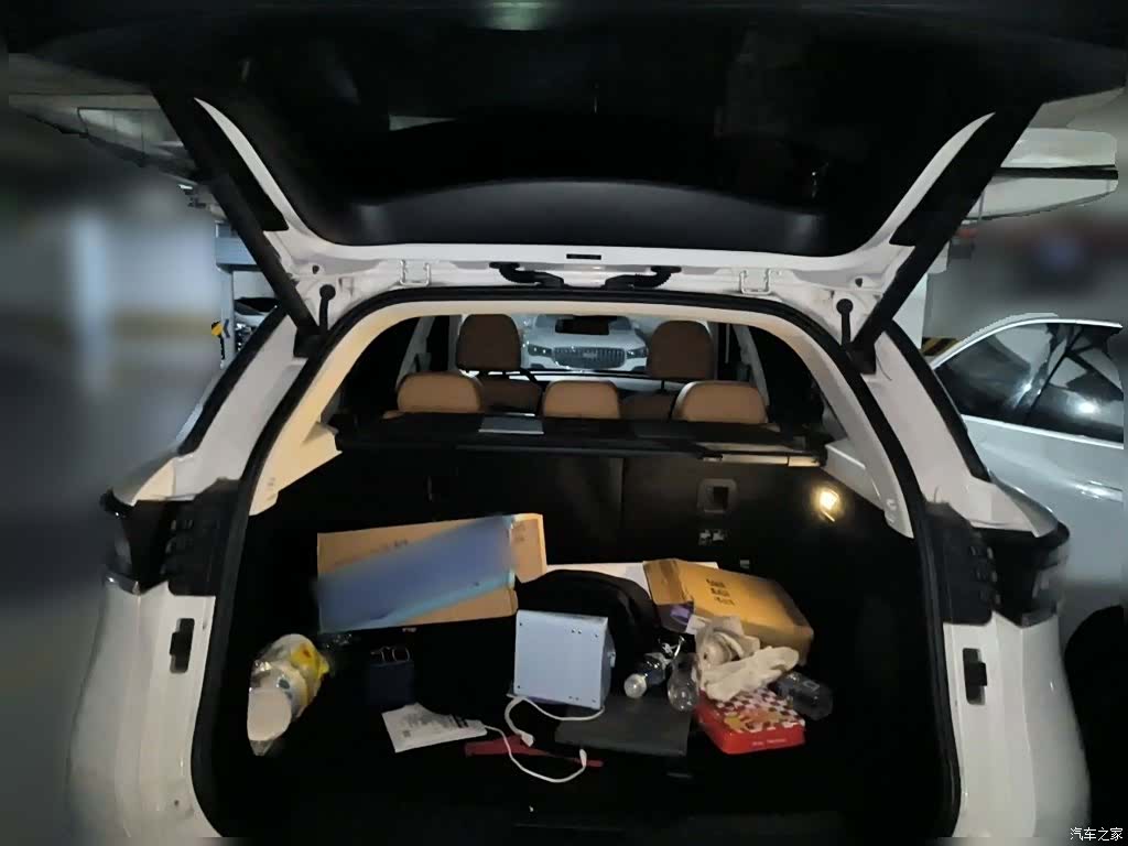 BAIC X7, 2020 10