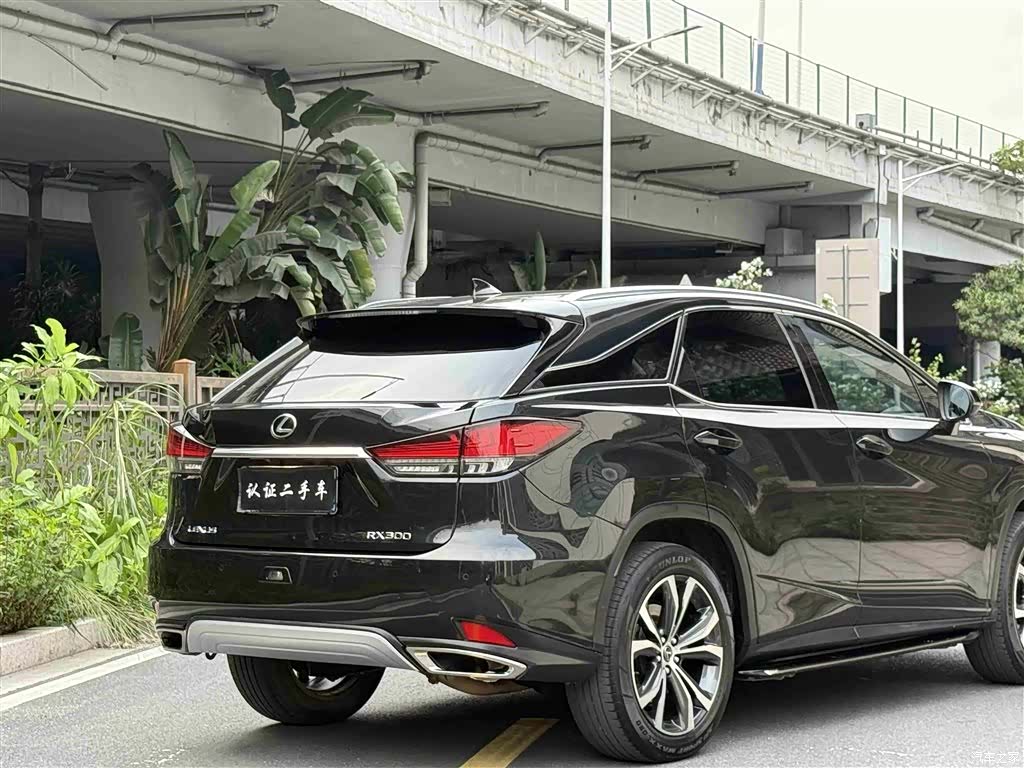 Lexus RX, 2021 24