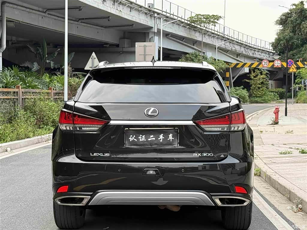 Lexus RX, 2021 22