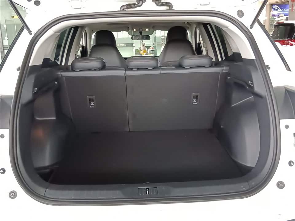 Trumpchi Trumpchi GS4 Trumpchi Trumpchi GS4