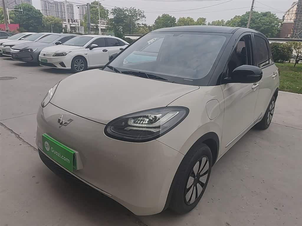 Wuling Binguo