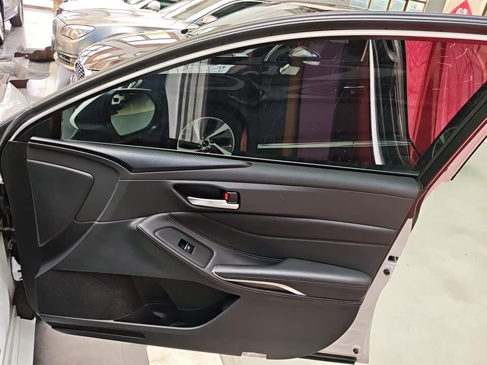 Toyota Asian dragon