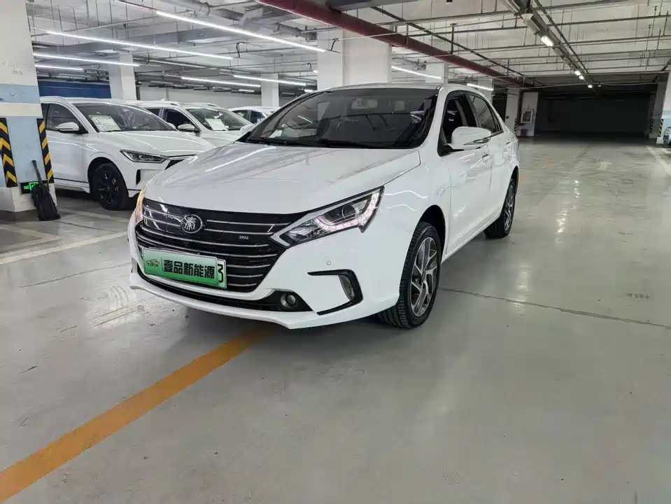 BYD Qinxin Energy