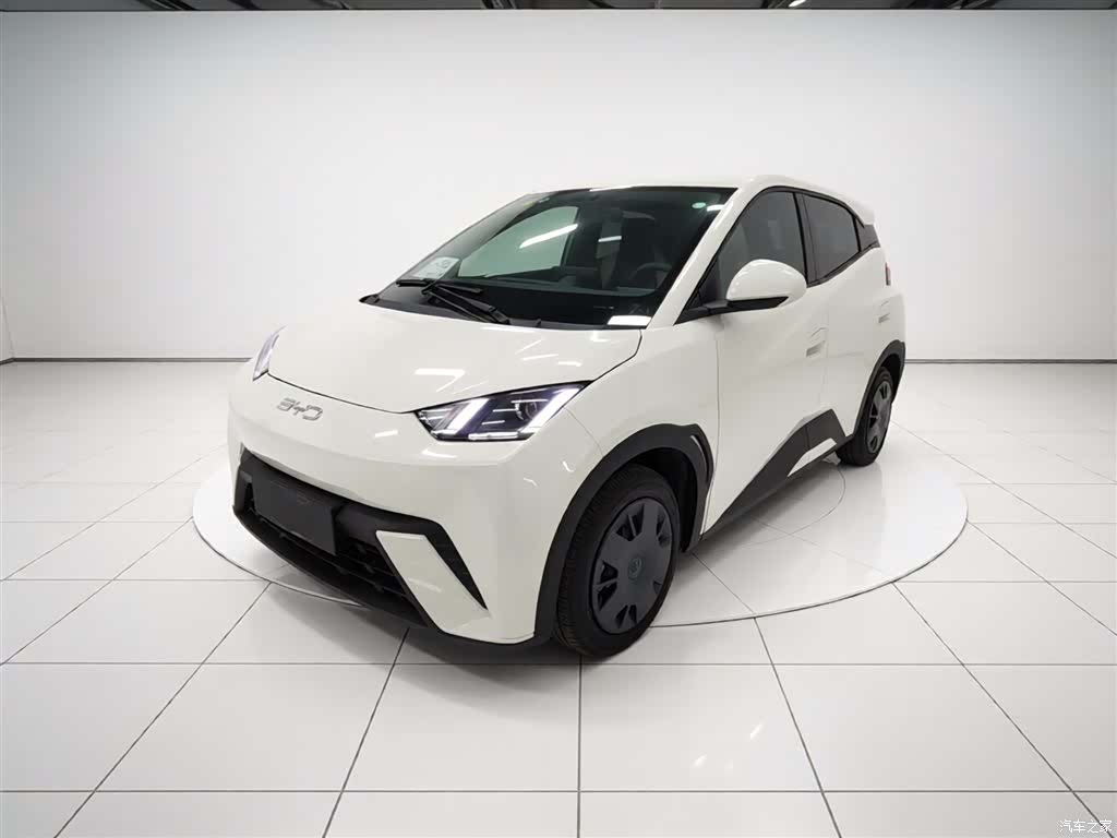 BYD Seagull, 2025 1