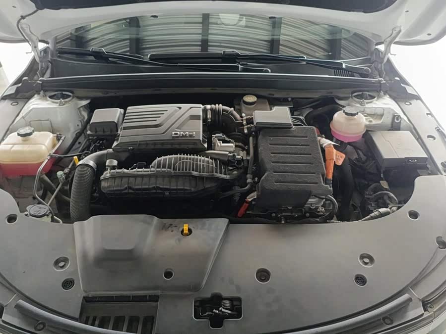 BYD Destroyer 05 2022, фото 10