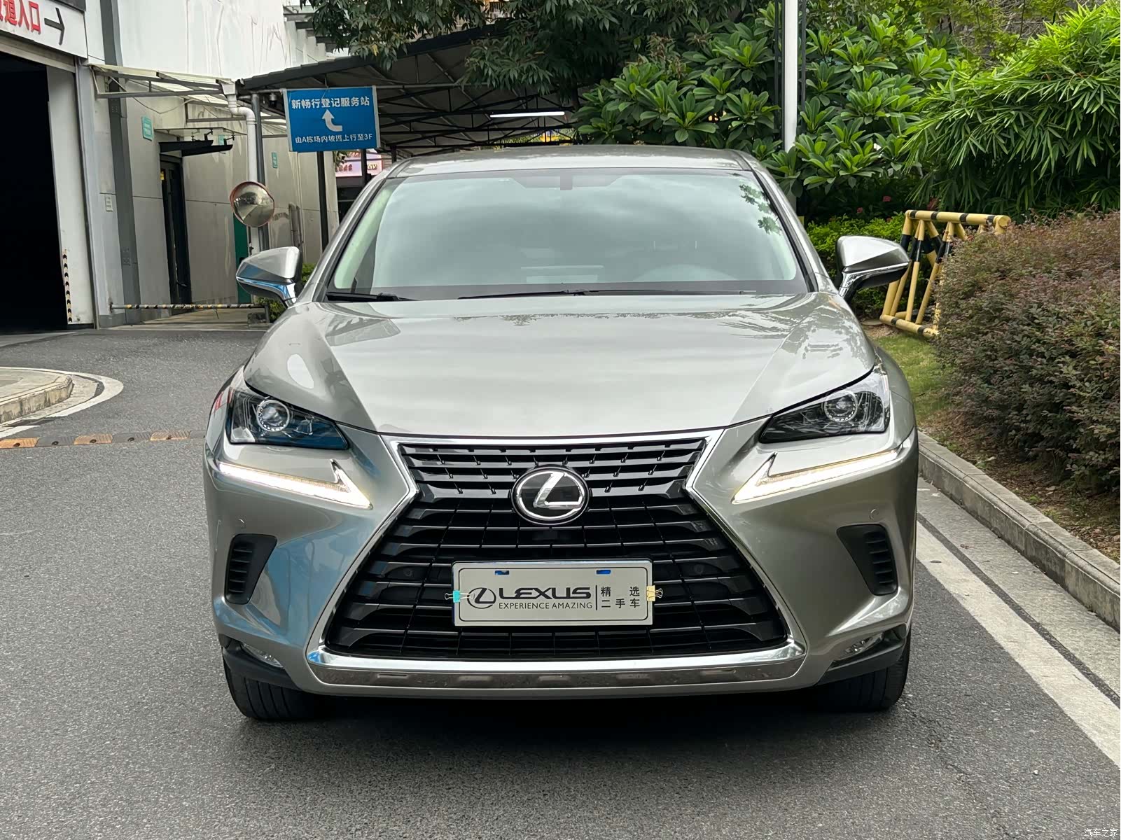 Lexus NX, 2020 2