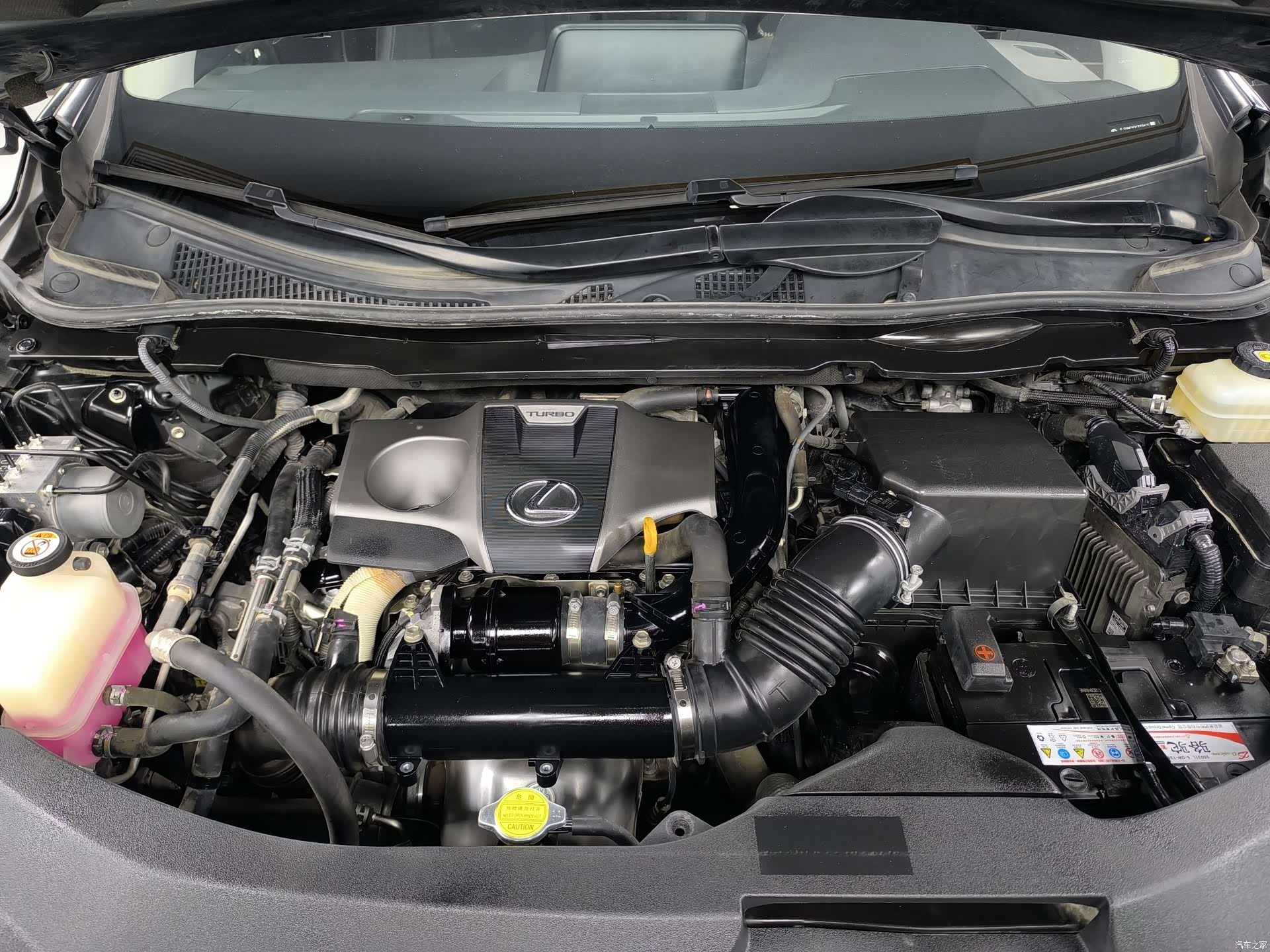 Lexus RX, 2019 13