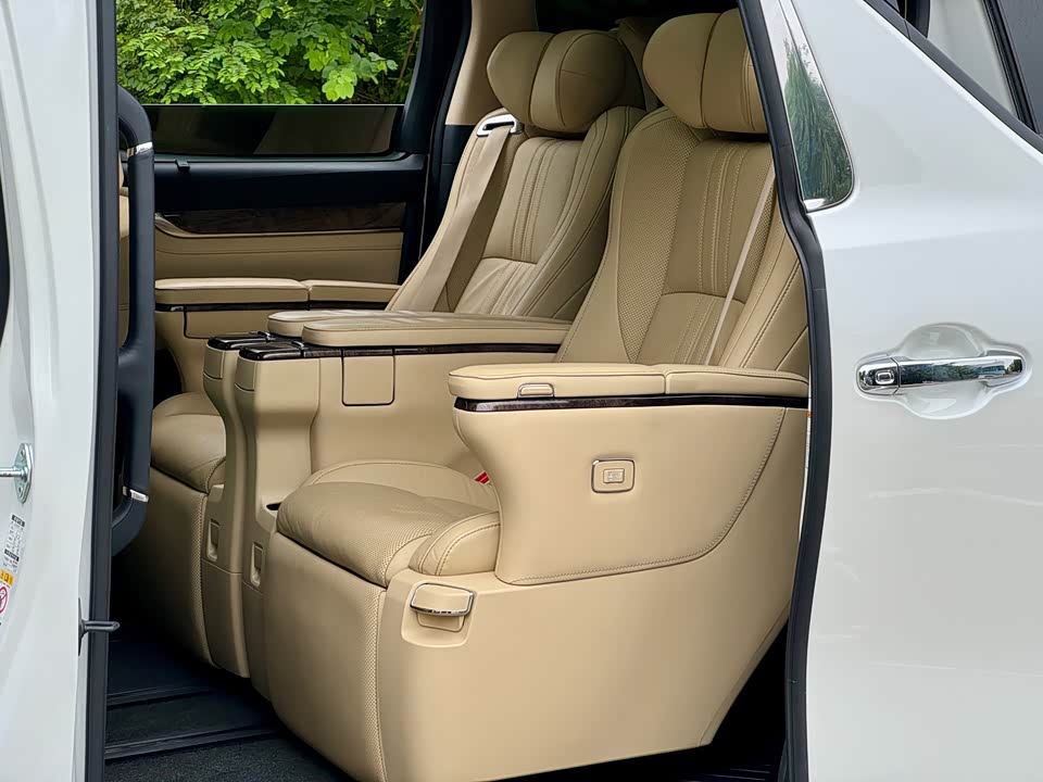 Toyota Elfa
