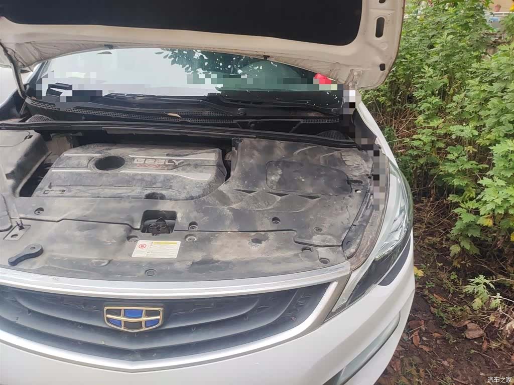 Geely Emgrand, 2019 22