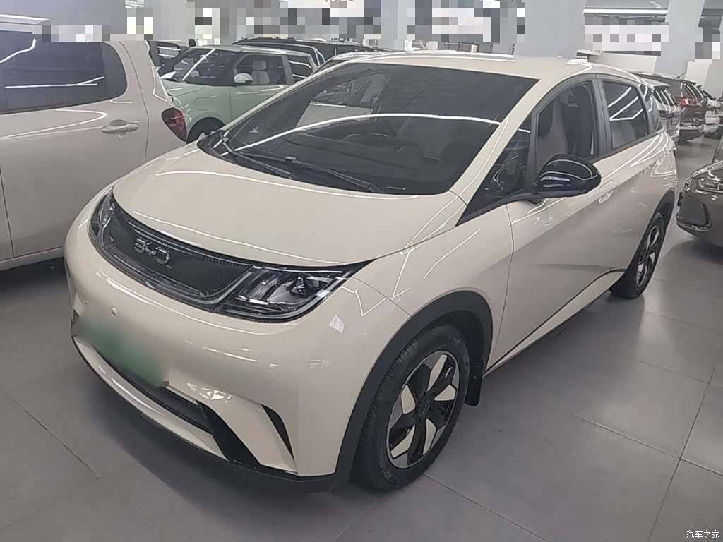 BYD Dolphin, 2026 1