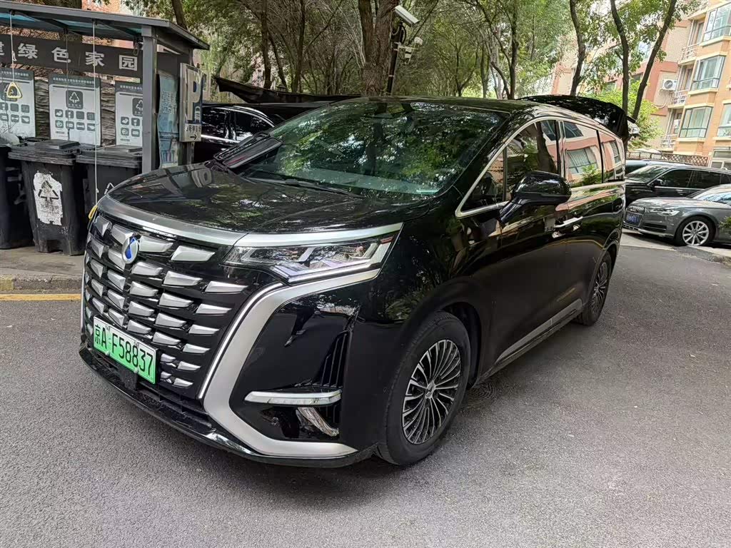 Denza D9