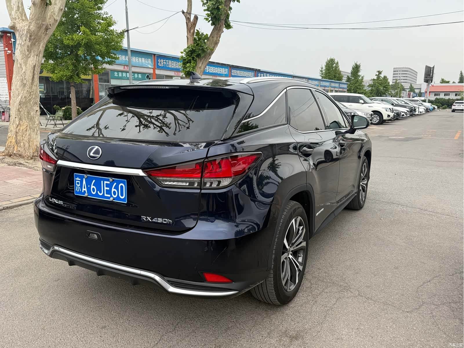 Lexus RX, 2020 15
