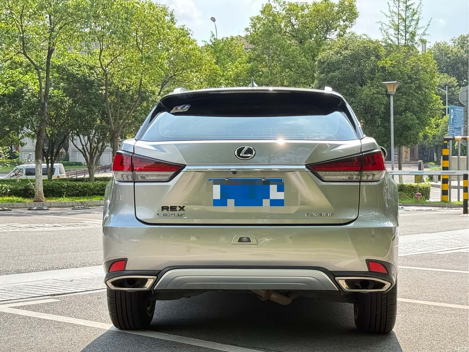 Lexus RX, 2020 13