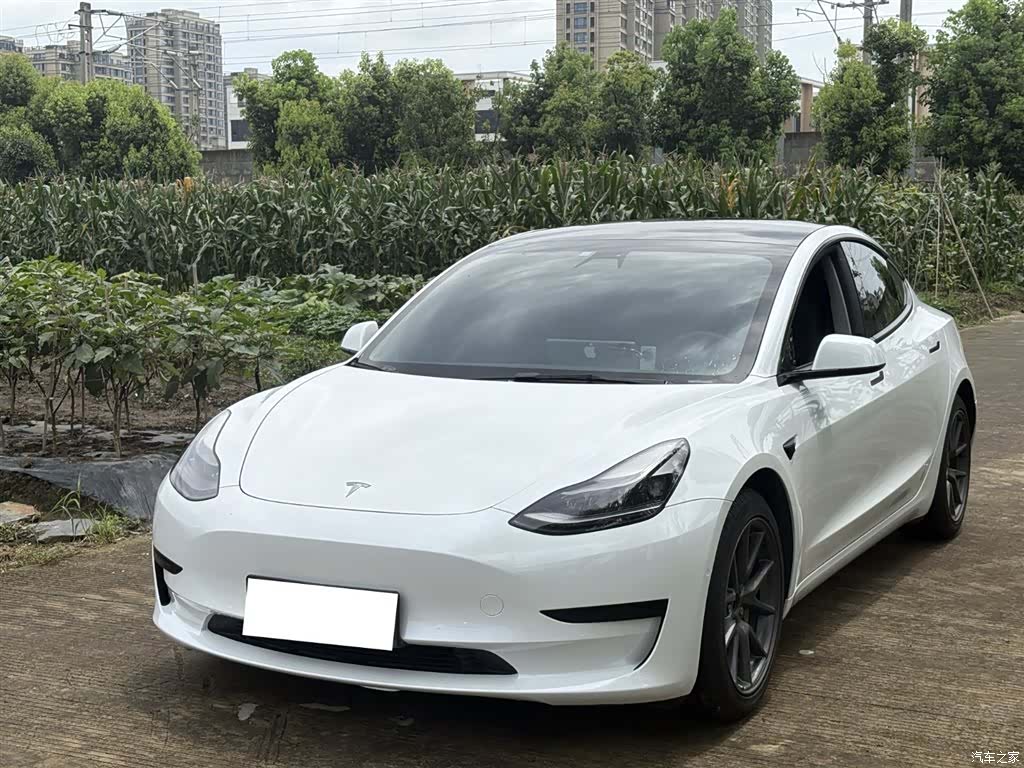 Tesla Model 3, 2021 1