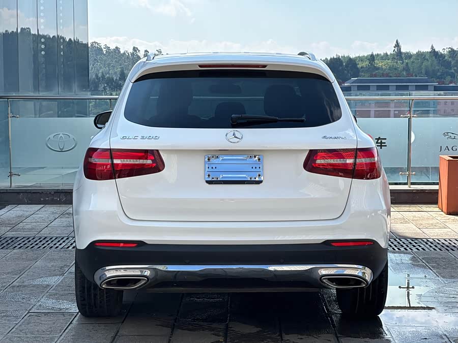 Mercedes-Benz GLC-Class 2019, фото 24