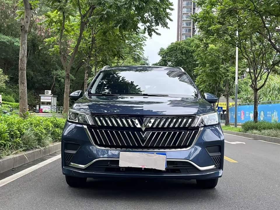 Wuling Wuling Jiachen Wuling Wuling Jiachen