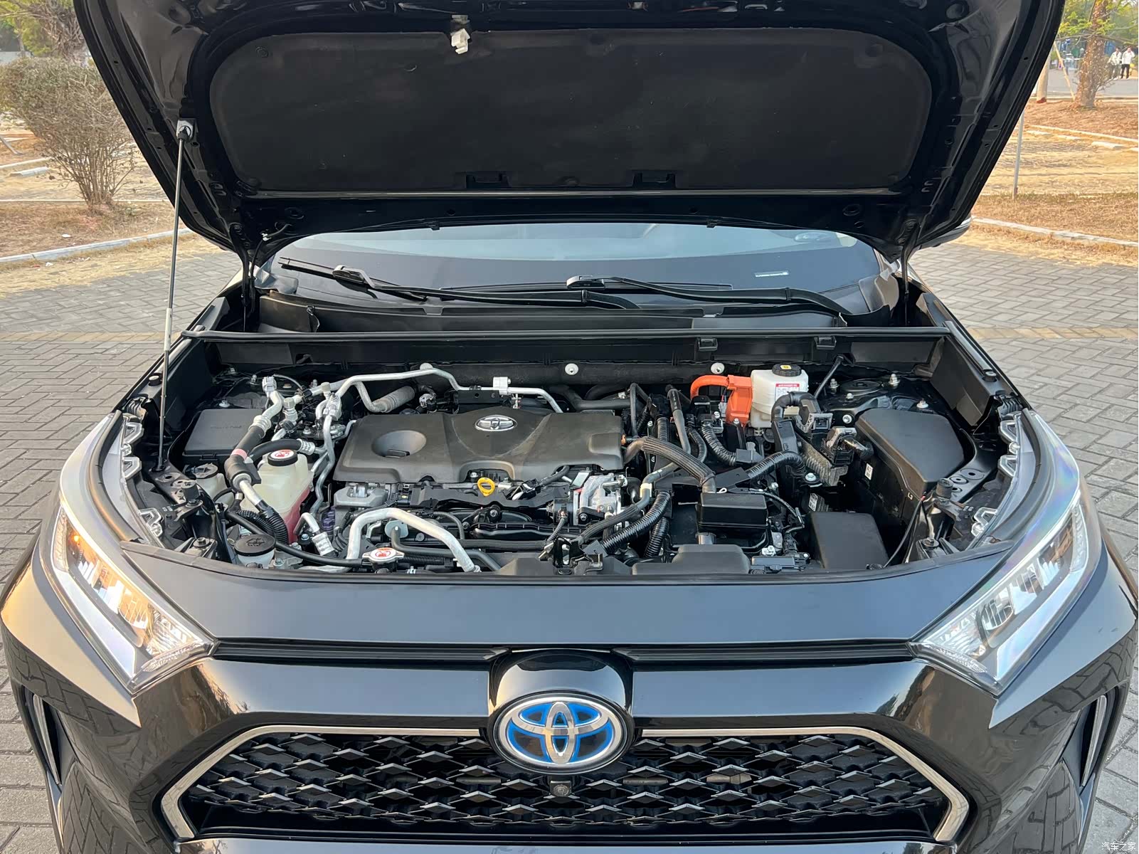 Toyota RAV4, 2022 19