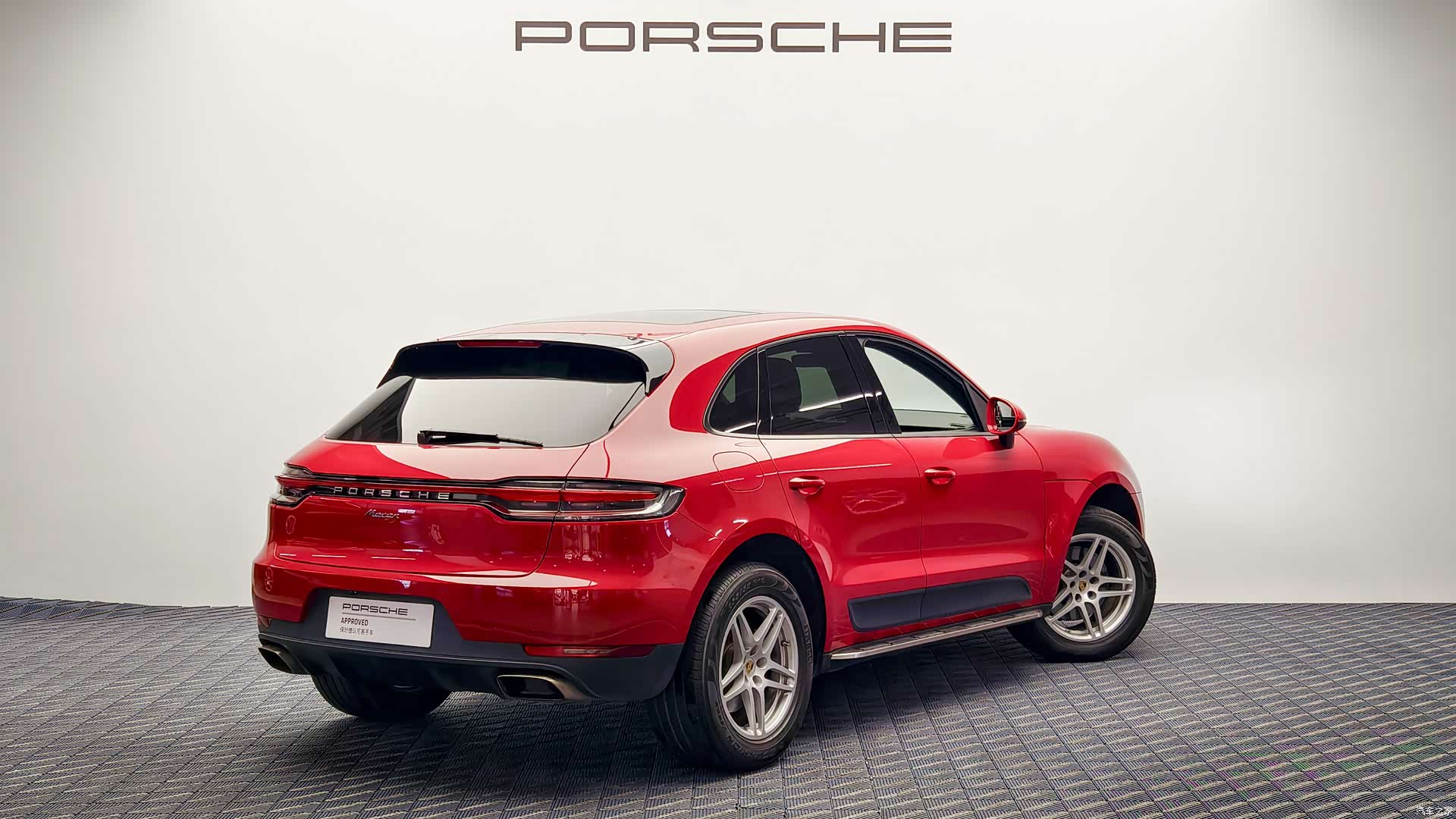 Macan Macan, 2019 6